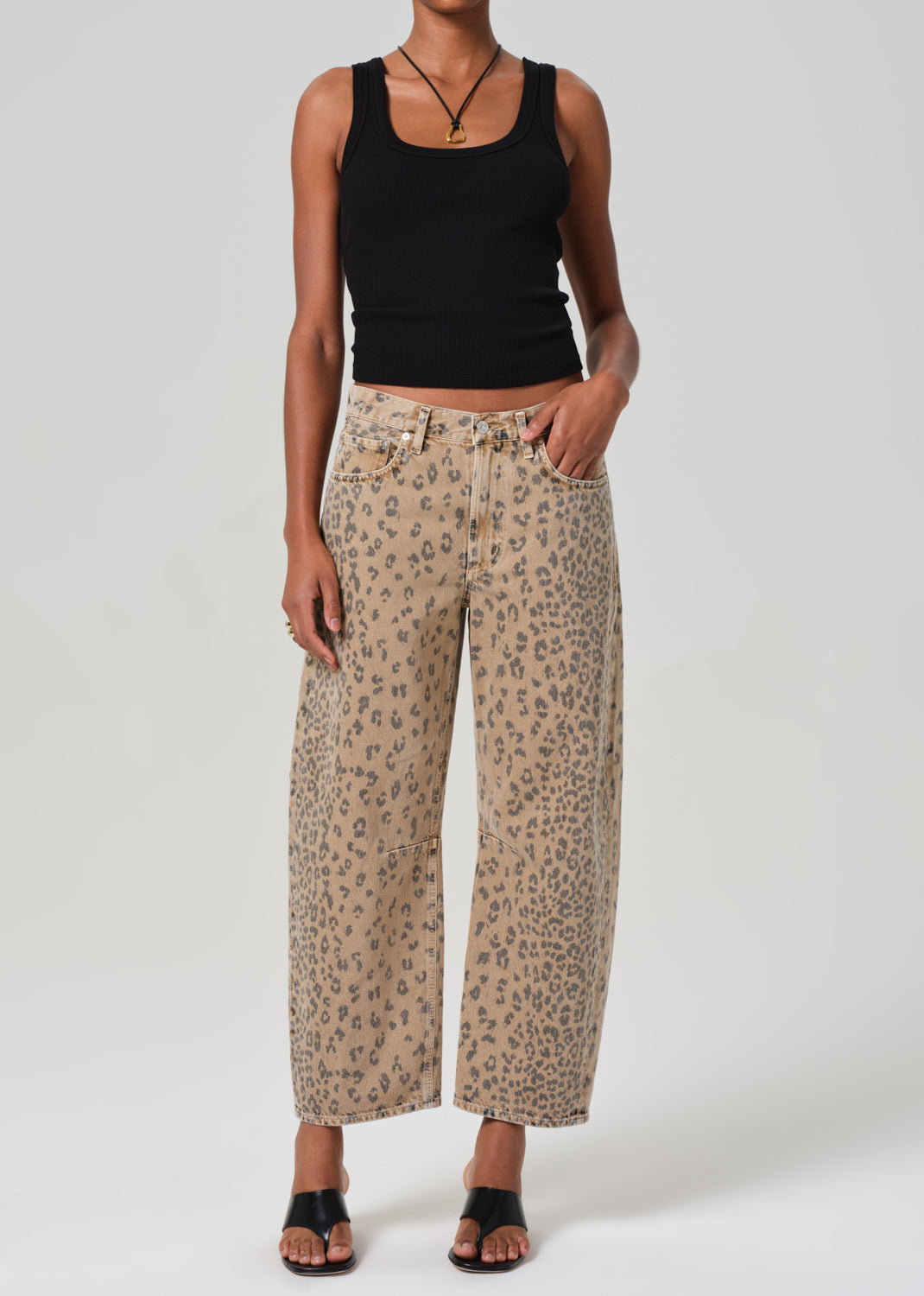 MIRO CHEETAH