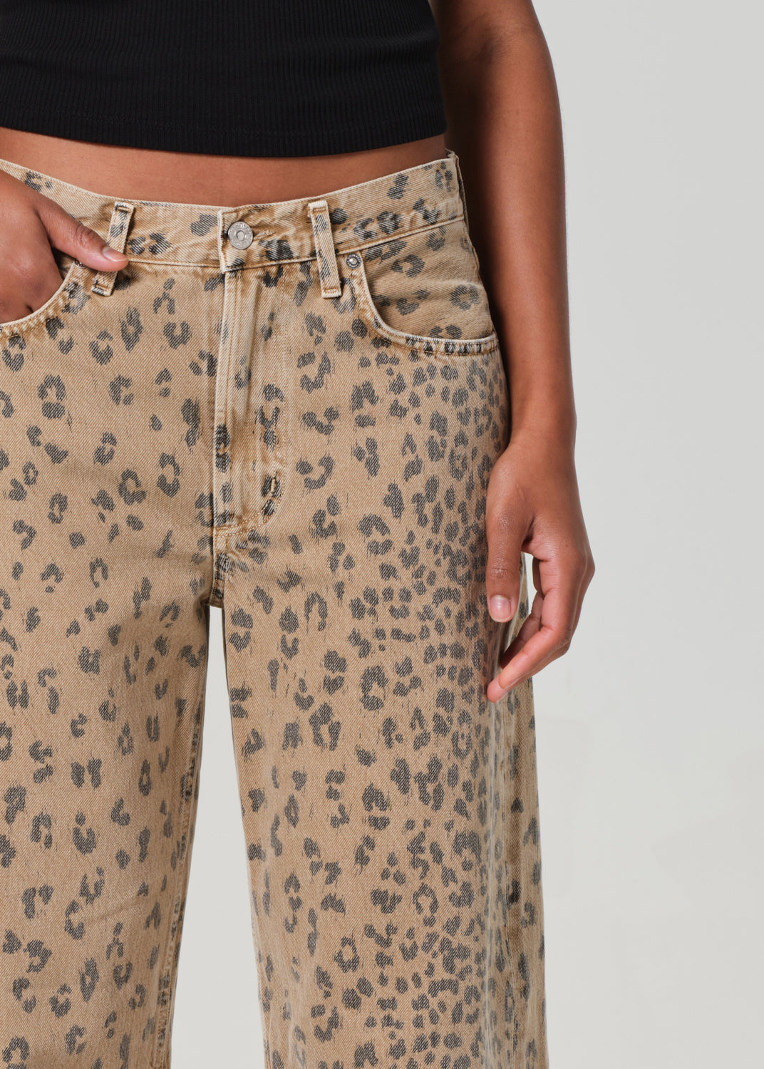 MIRO CHEETAH