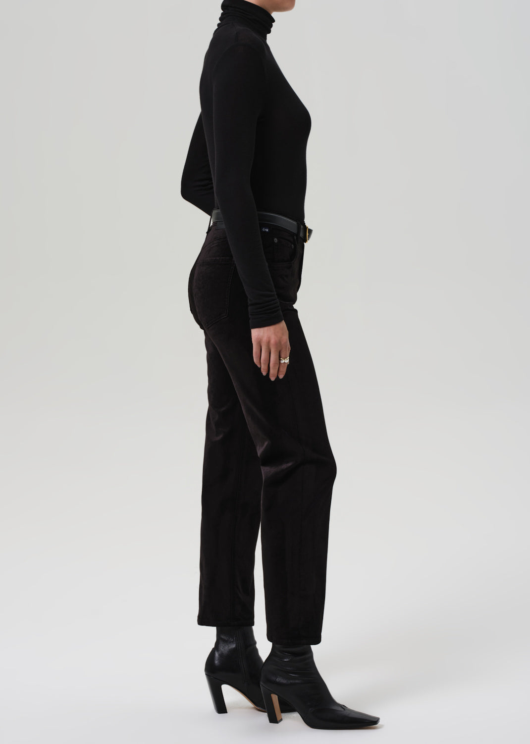 DELFINA IN VELVET