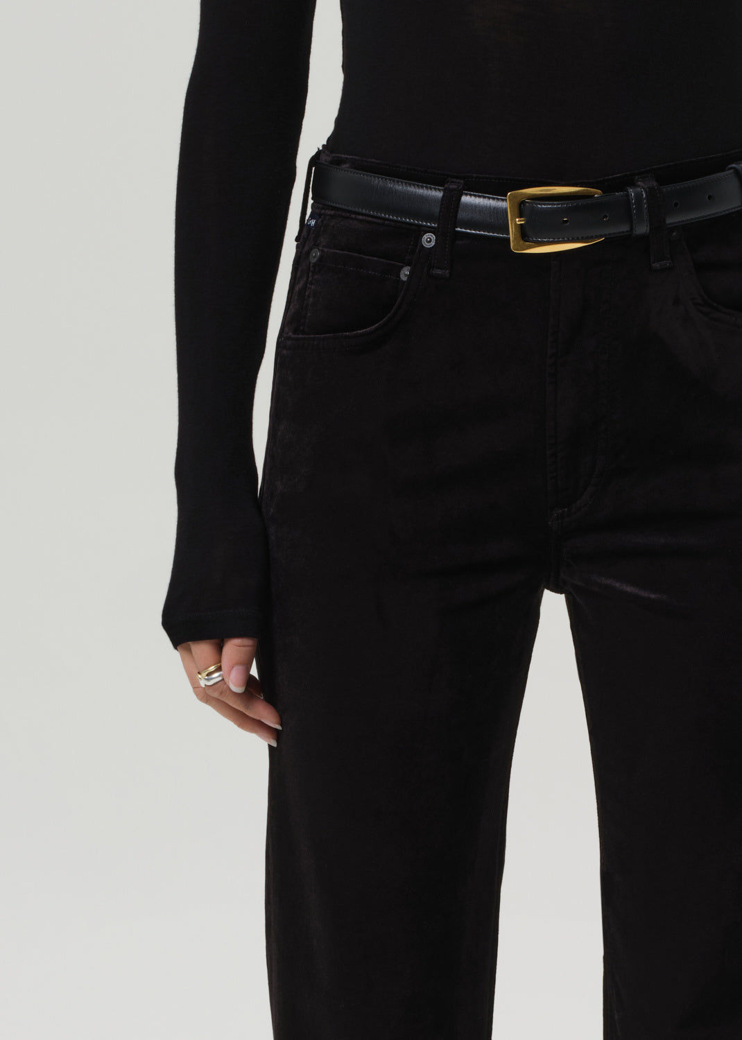 DELFINA IN VELVET