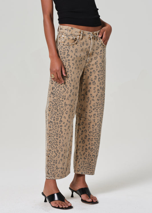 MIRO CHEETAH